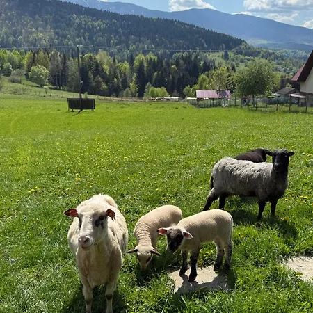 빌라 Babiogorska Stodola