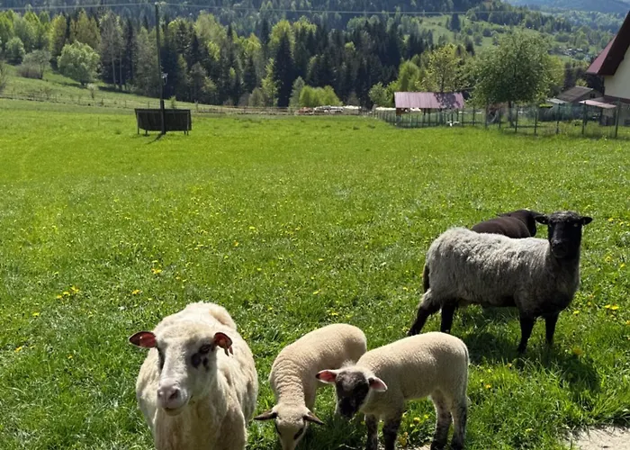 וילה Babiogorska Stodola